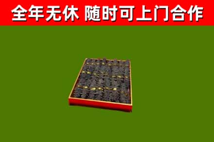 白沙回收海参